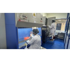 Serviços de Toxicologia, Química e Descoberta de Drogas