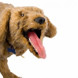 Manequim Critical Jerry - Simulador Canino Avançado para Prática Veterinária