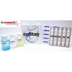 PROMOÇAO DE COLITAG CX 100UN - Análise de Coliformes