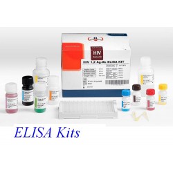 Kit ELISA de TSH 