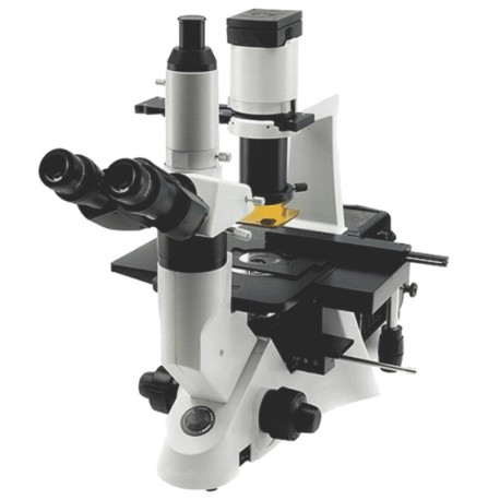 Linha de Microscópio Invertido Microscópio Binocular e Trinocular
