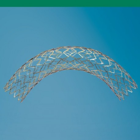 Linha de Stents e Perifericos 