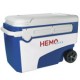 Caixa térmica rígida dedicada ao transporte de hemoderivados